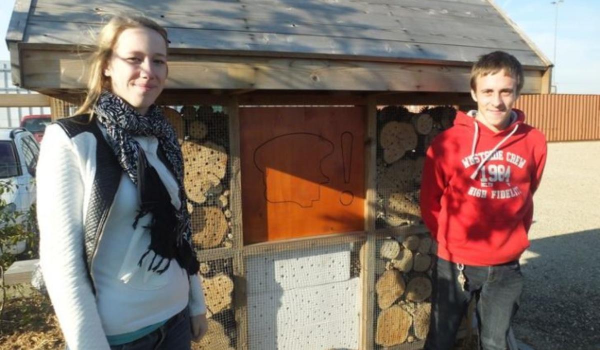 Bee Hotel Project
